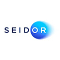Seidor do Brasil